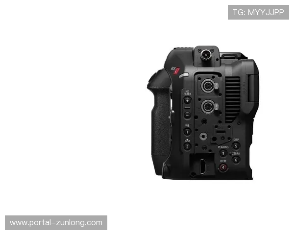 Z6尊龙(中国有限公司)-官方网站：在线订购流程与支付方式详细指南